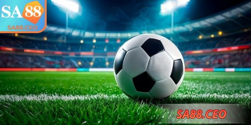 Quan sát số liệu kỹ lưỡng để đánh giá chính xác hơn