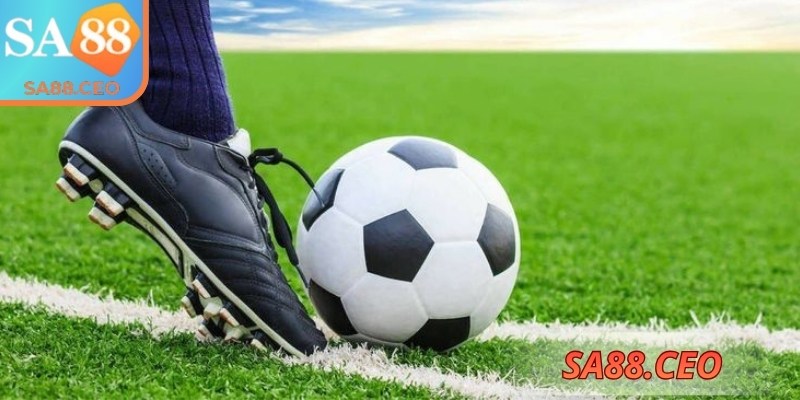 Sử dụng dữ liệu và công cụ uy tín phân tích góc chính xác
